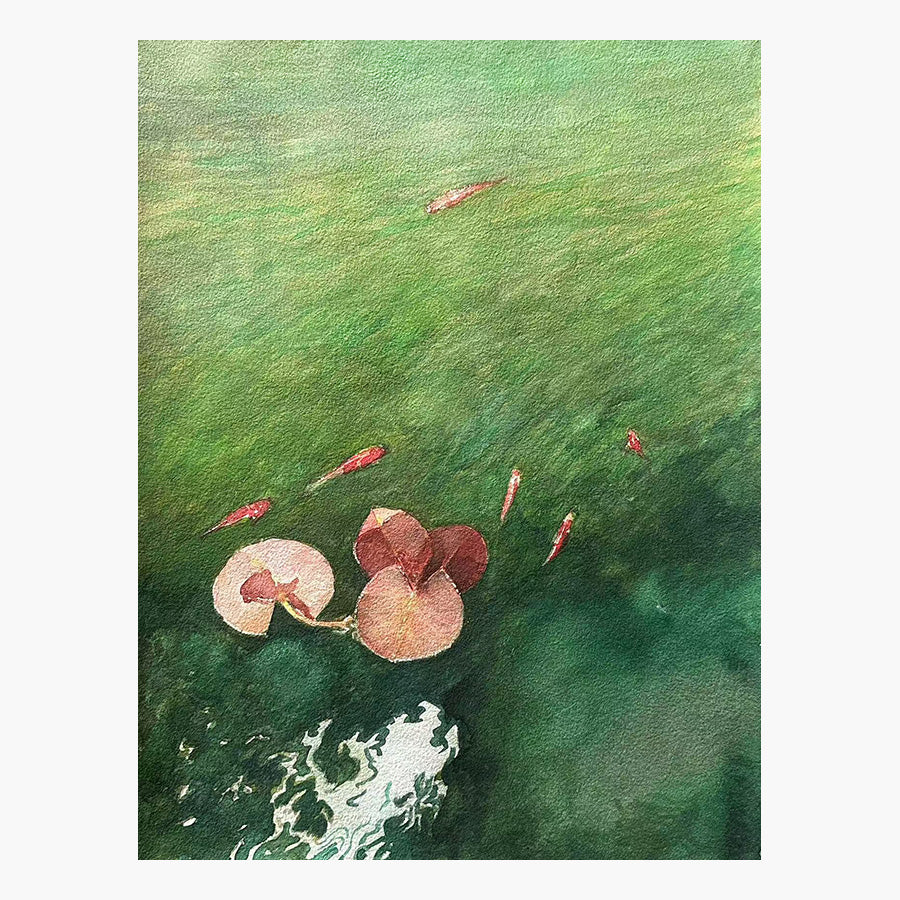 觀魚 3